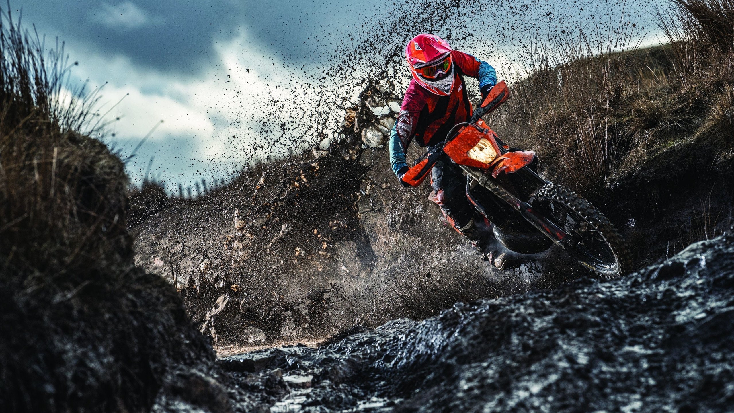 选手心理健康支持项目,心理健康竞赛